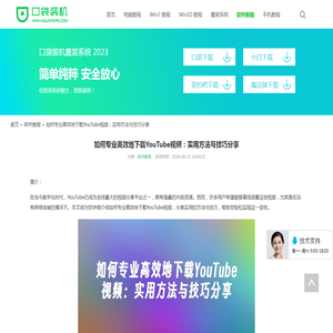 如何专业高效地下载YouTube视频：实用方法与技巧分享_软件教程_口袋pe之家